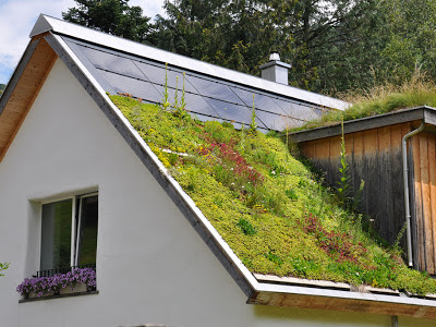 Крыша и травяной покров.