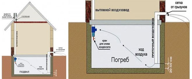 текст при наведении