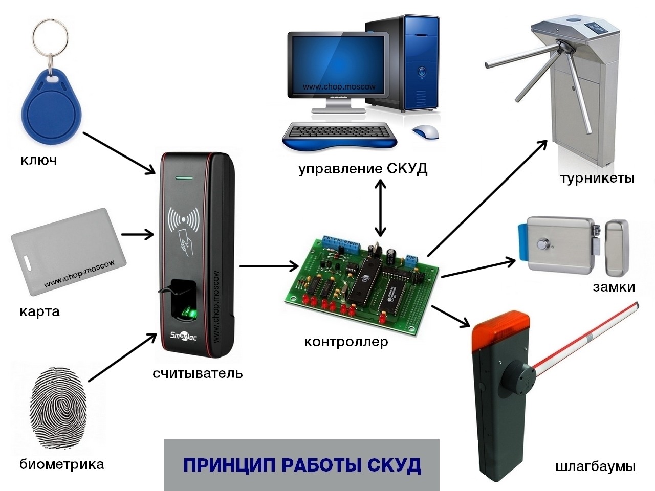 Что такое СКУД? Разбираемся в системе контроля и управления доступом!