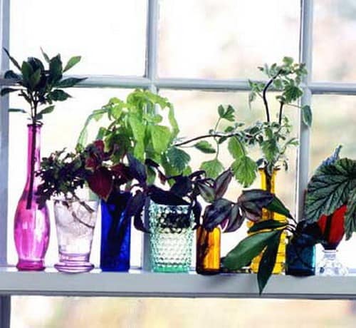 Яркие вазы с цветами для украшения окна и подоконника фото