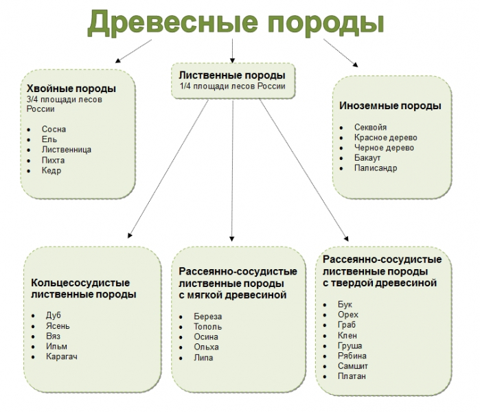 Последовательность строительства дома из бруса своими руками