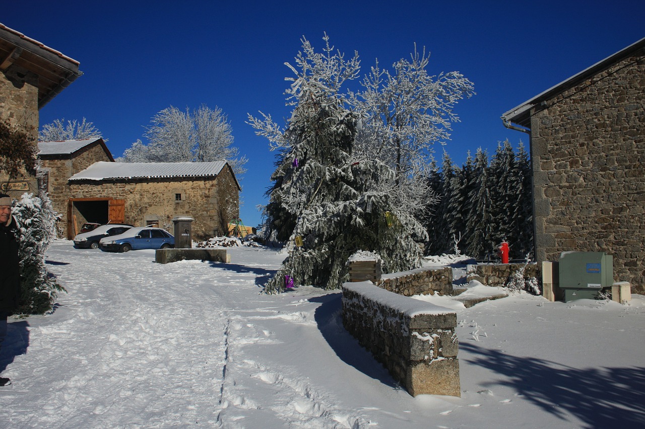 красивая деревня зимой фото 12