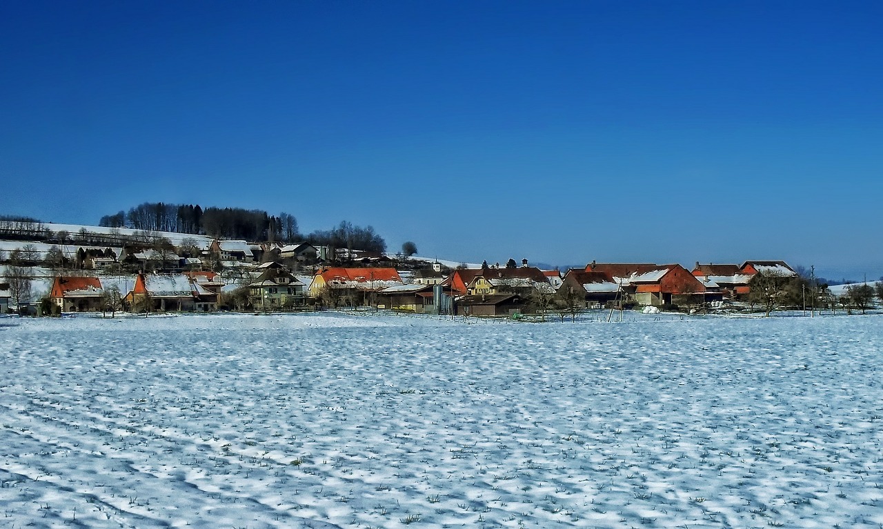 красивая деревня зимой фото 23
