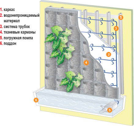 fitomodul-dlya-fitosten-dlya-vertikalnogo-ozeleneniyagreen-tree