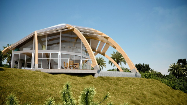 Дизайнерское решение - дугообразная деревянная крыша поверх строения 