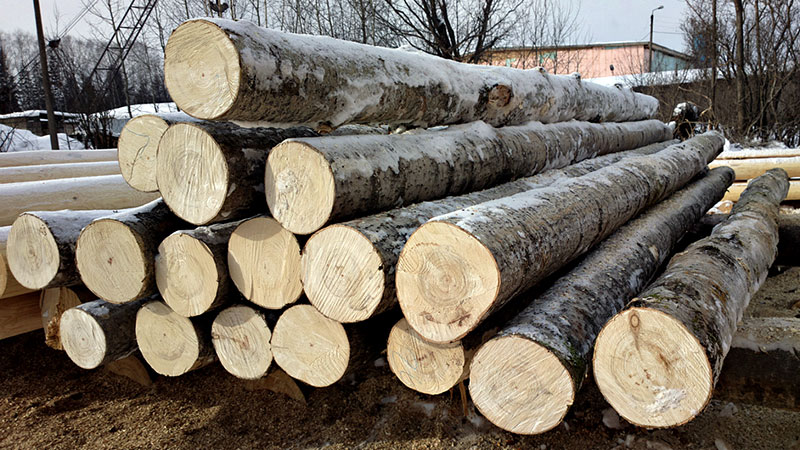 Зимняя заготовка древесины для бани