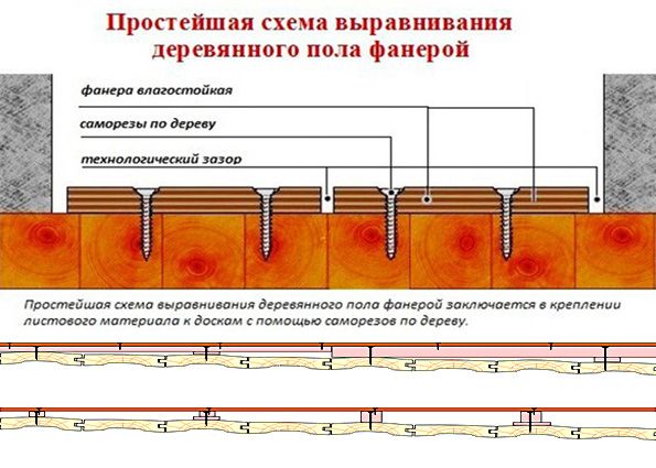 Пол