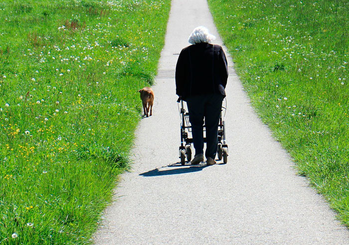 Ходунки для пожилых и инвалидов: все, что нужно знать