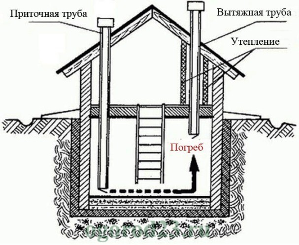 погреб своими руками 6