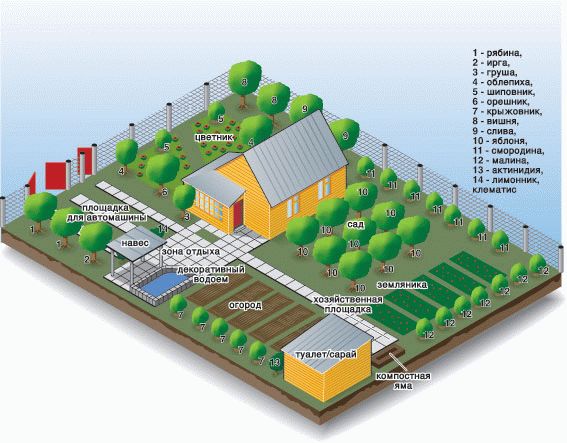 Дизайн и планировка дачного участка