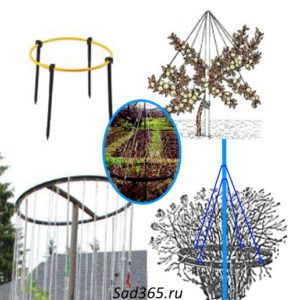 Подвесная опора для кустарников - смородины, крыжовника и др.