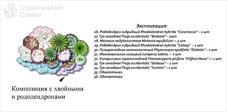 Композиции с хвойными и рододендронами