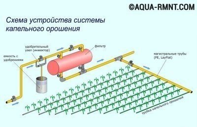 Капельный полив