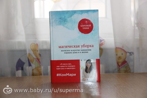 ОТЗЫВ Книга, которая идет вразрез с известной системой ведения хозяйства Флай Леди