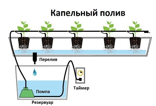 Схема и принцип работы системы капельного полива при выращивании клубники по методу гидропоники