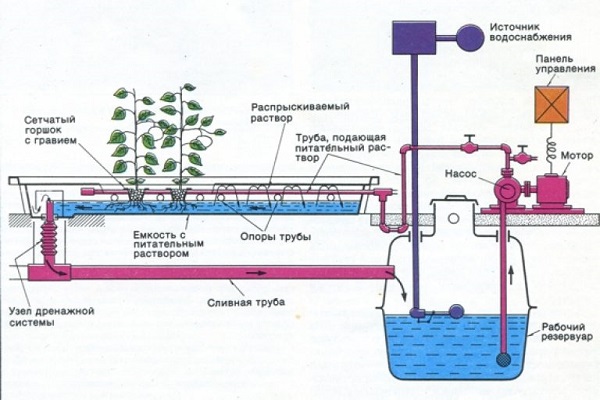 Схема системы гидропоники для домашнего выращивания клубники в питательном слое
