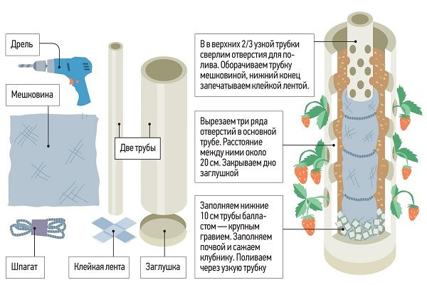 Схема и принцип изготовления самодельной системы гидропоники для выращивания клубники в домашних условиях