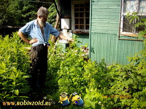 сорняк сорняк