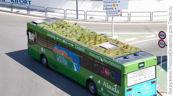 Автобус с растениями на крыше. Фото с сайта ecotechnica.com.ua