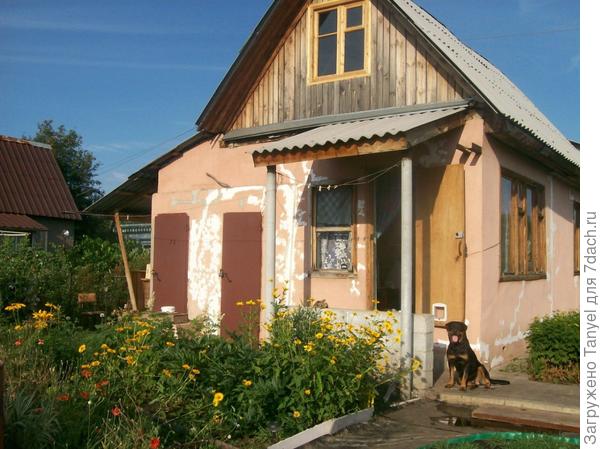 Так как дел было невпроворот и на участке, поэтому разделились: мы с бабушкой на участке, а муж в одни мужские руки строит спальню-мансарду. Первым делом он врезал окна во фронтоны, сделал нормального размера люк.