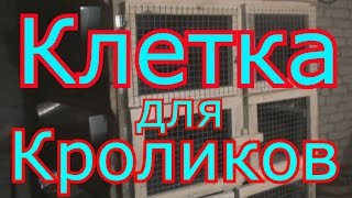 Клетка для кроликов.Кролиководство в гараже