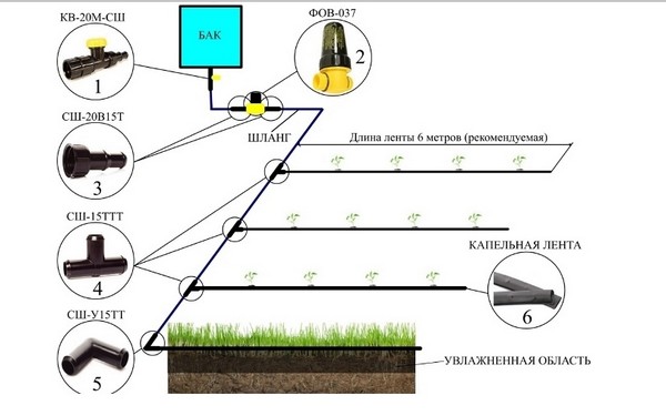 как самому сделать капельный полив на даче фото