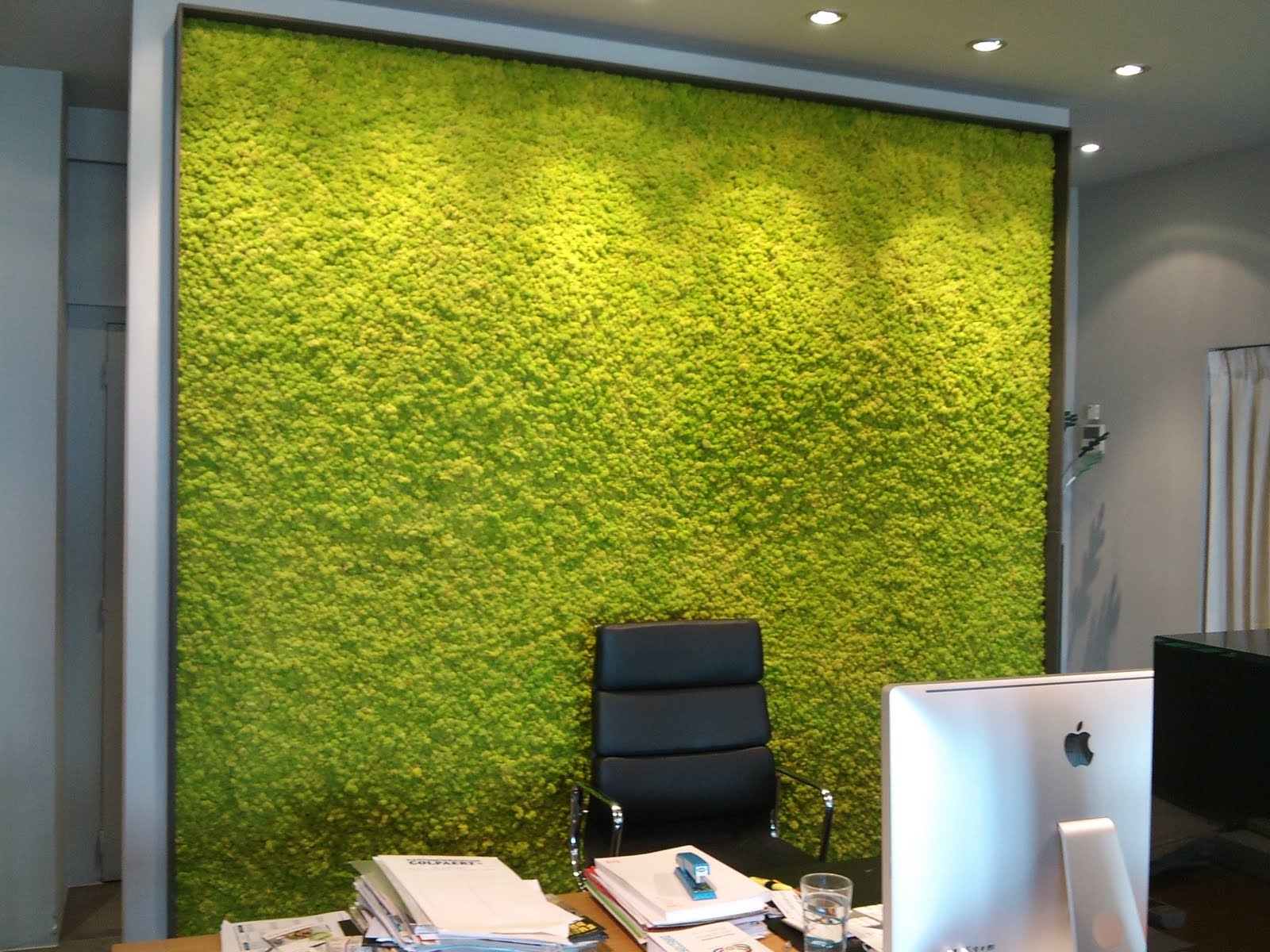 Вертикальное озеленение в кабинете