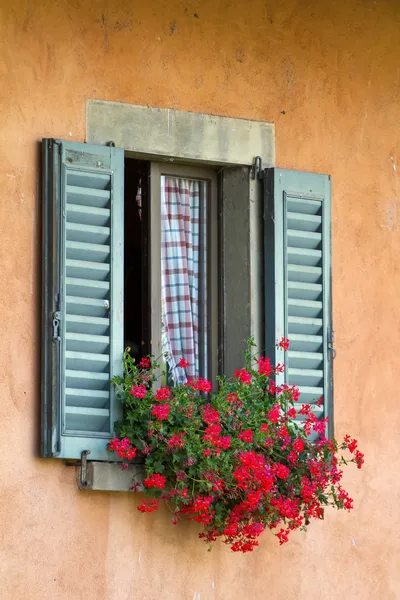 Винтаж окно с открытым деревянными ставнями и свежие цветы — стоковое фото
