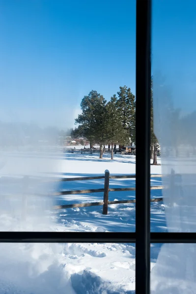 Зимний вид из окна — стоковое фото