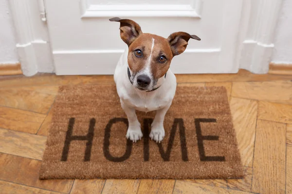 Дом приветствия собаки — стоковое фото