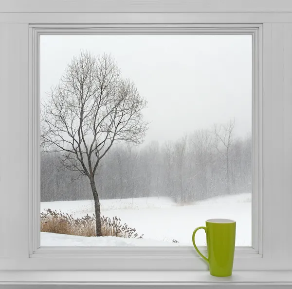 Зимний пейзаж, сквозь окно и зеленый Кубок — стоковое фото