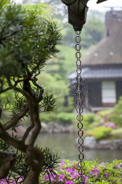 Японский дождь цепи — стоковое фото