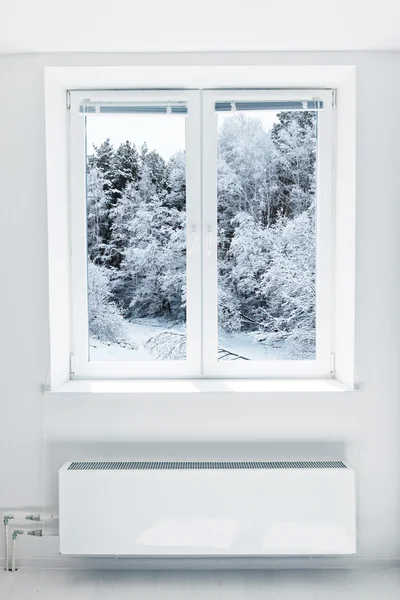 Зимний пейзаж, видели через окно — стоковое фото