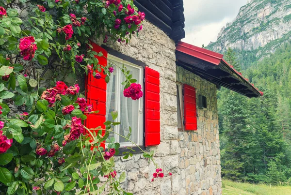Красные деревянные окна горной хижине — стоковое фото