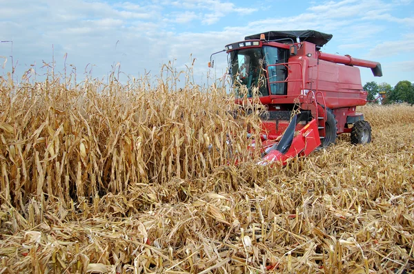 Сбор урожая зерна — стоковое фото