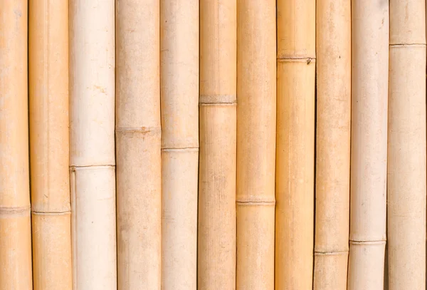 Бамбуковая текстура, архитектура Оформление — стоковое фото