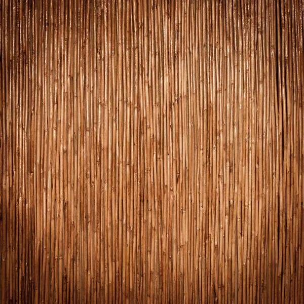 Красивый японский бамбук фон — стоковое фото