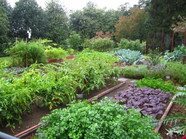 Огород Огород