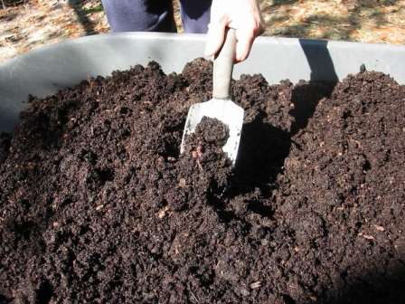 Чтобы компост созрел быстрее, в него можно поселить дождевых червей, а еще лучше – калифорнийских. Хотя за них и нужно будет выложить некую сумму, она с лихвой окупится, ведь они размножаются три или четыре раза за сезон.